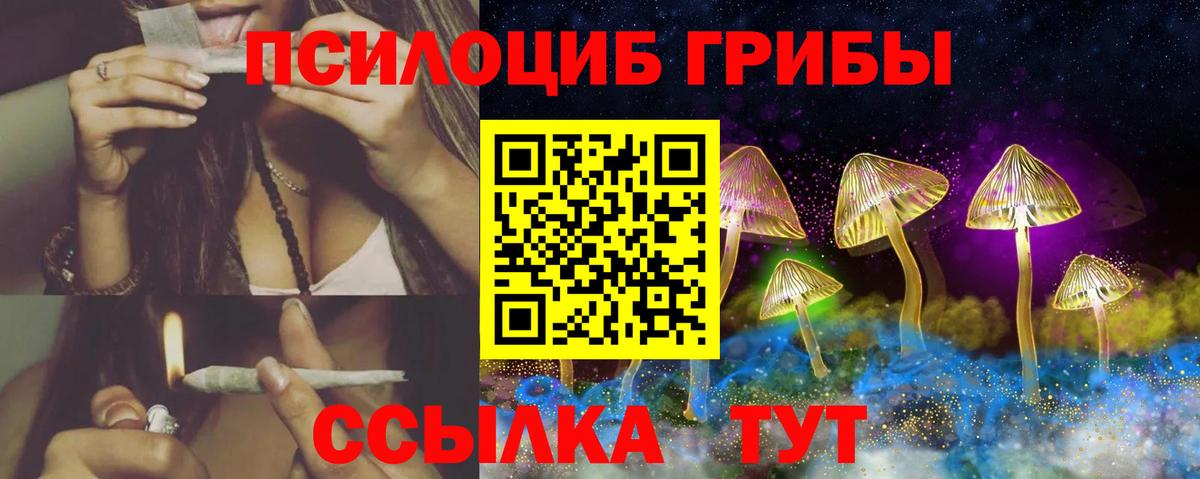 Михайловск  Галлюциногенные грибы MAGIC MUSHROOMS  Галлюциногенные грибы мухоморы  Вход с VPN 